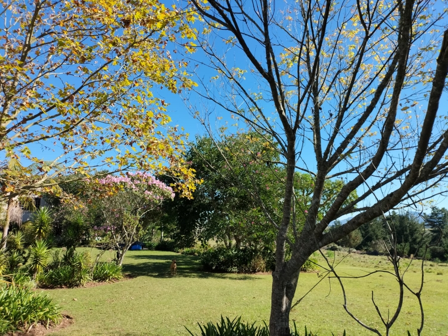 12 Bedroom Property for Sale in Friemersheim Western Cape